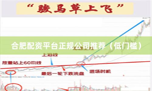 合肥配资平台正规公司推荐（低门槛）